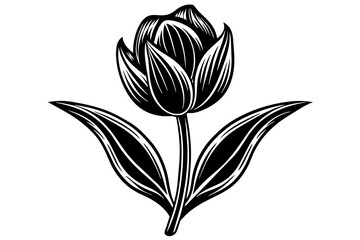 tulip Flower silhouette  vector art illustration