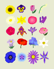 Fleurs du printemps _ Collection 1