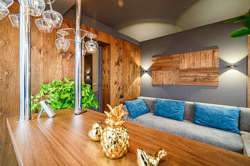 standard interior apartment. living room with sofa
