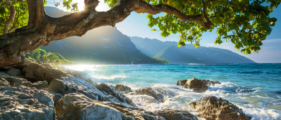 A tree is in the foreground of a beautiful beach scene