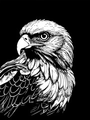 Black and white bird illustration in vector style.