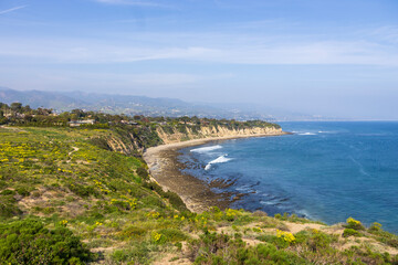 Fototapeta na wymiar a beautiful spring landscape at Point Dume beach with blue ocean water, lush green trees and plants, homes along the cliffs, waves, blue sky and clouds in Malibu California USA