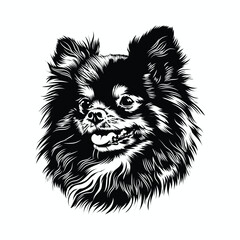 Pomeranian Dog Black and White  Stock Vector Illustration