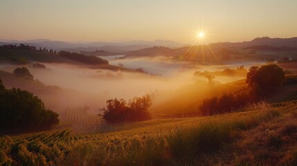Naklejka na ściany i meble Misty hills at sunrise capture the ethereal beauty and soft light.