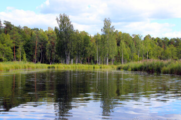 Fototapeta na wymiar Lake shore, blue sky and green trees around.