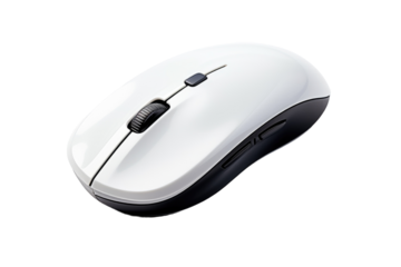 The Serene Dance of White Mouse on White Canvas.