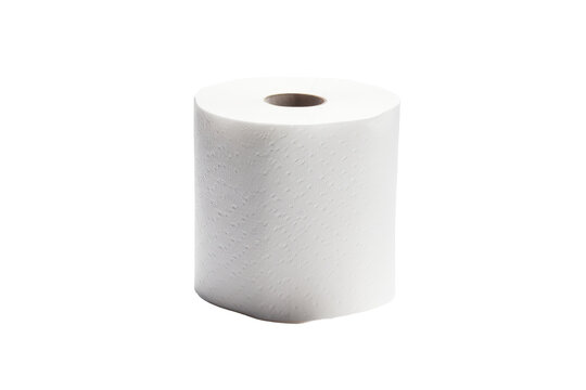 Unraveling Comfort: A Solo Roll of Toilet Papper.
