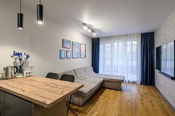 standard interior apartment. living room with sofa