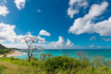 looking out over the coastline of tropical island of Antigua with turquoise waters and green shrubs