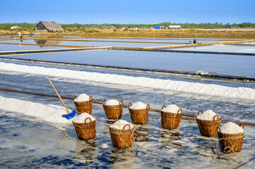 Scene of salt fields preparing for harvest in Ly Nhon, Can Gio district of Ho Chi Minh City, Vietnam