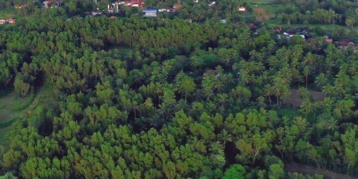 aerial video of a large forest in a mountainous area where there are villages among the dense forest