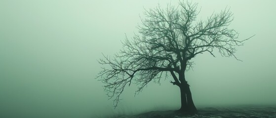  A lone tree, standing in fog, atop a hill amidst a field, devoid of leaves