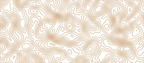 Abstract wave paper curved reliefs background .gradient multicolor wave curve lines banner background design .topographic contours map background .Vector geographic contour map.