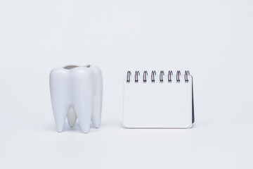 white tooth and notepad on a white background. dentistry concept