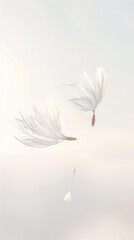 Dandelion feather flaying on the wind