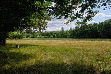 Partly abandoned meadows along Lutovnia River