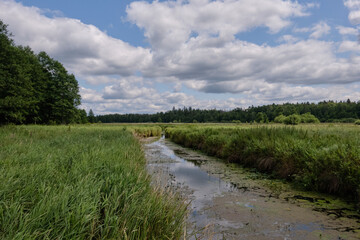 Fototapeta na wymiar Lutovnia River in summer