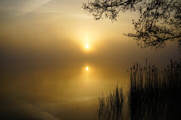 Fototapeta premium Sonnenaufgang am Bornhorster See in Oldenburg, Deutschland. 