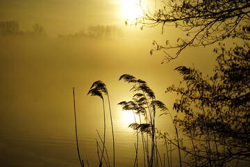 Sonnenaufgang am Bornhorster See in Oldenburg, Deutschland. 