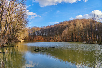 Forest lake in the evening in early spring
