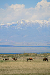 Issyk-Kul and Tian Shan Mountains, Kyrgyzstan