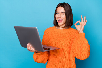 Portrait of attractive cheerful skilled girl using laptop showing ok-sign winking isolated over...