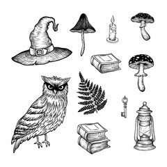 Fototapeta premium Vector sketch illustration with magical elements for design. Hat, owl, books, mushrooms, fern, owl.