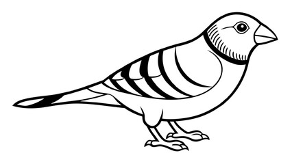 Striking Zebra Finch Vector Illustration A Captivating Avian Artwork