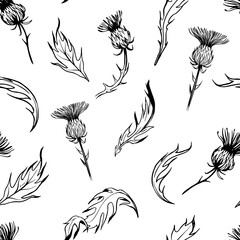 Thistle illustration. Seamless pattern, realistic hand drawn vector sketches