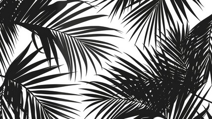 Black and white tropical palm leaves pattern - Black and white contrast of tropical palm leaves creates a bold pattern and artistic abstraction