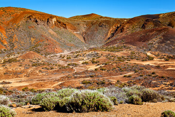 Volcanic landscape, Island Tenerife, Canary Islands, Spain, Europe.