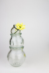 Glass jars for hijama. Yellow flowers. Bloodletting. Sunnah treatment. Islam.