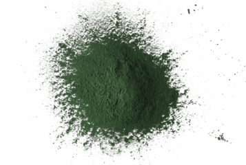 Organic spirulina powder, raw isolated on white, top view