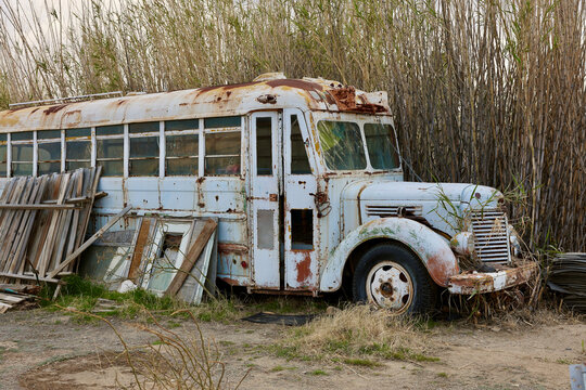 abandoned rusty school bus in the weeds