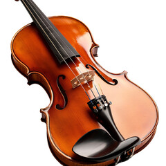 Fototapeta premium Violin With Bow