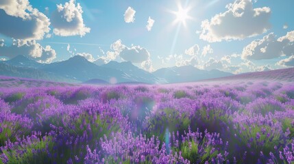 Fototapeta premium Beautiful lavender field on sunny day blue sky landscape. AI generated image