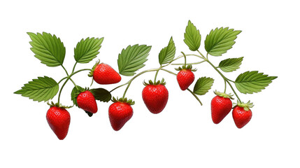 Create A High quality fresh strawberry leaves. Fresh strawberries and leaves