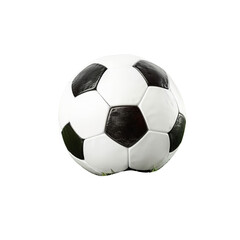 Fototapeta premium Soccer Ball on Lush Green Field