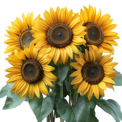 Vase Filled With Yellow Sunflowers
