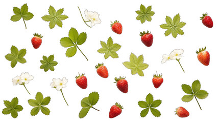 Create A High quality fresh strawberry leaves. Fresh strawberries and leaves