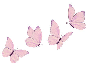 pink butterfly hand drawn design