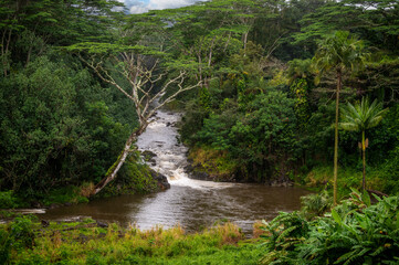 The Wailua River fed continuously from rainfall and the swamps at the top of Mount Waialeale. The tranquil Wailua River weaves by waterfalls and lush, jungle landscapes along the island's east side. - 765114079