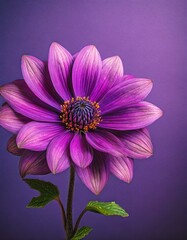 A close-up view of a vibrant purple flower standing out against a lush purple background, creating a visually striking contrast
