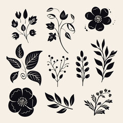 Elegant Monochrome Botanical Illustrations Set