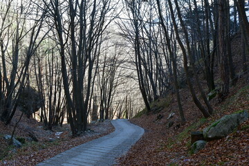 Obraz premium Ein Wanderweg bei Pregasina oberhalb vom Gardasee