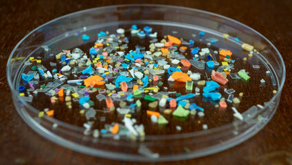 Macro shot of microplastics composition inside a lab petri dish. Concept of plastic pollution with...