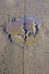 Rainwater puddle in the mud