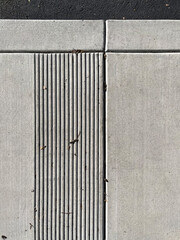Segment of a concrete sidewalk