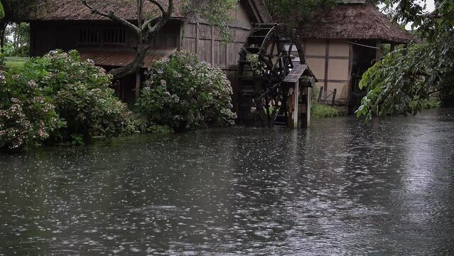 雨が降る中ユックリ流れる川と回る水車と水車小屋、固定撮影、環境音あり