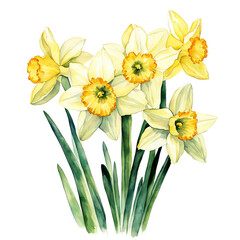 Naklejka na ściany i meble narcissus, bouquet of flowers, backgrounds for decorating holidays, Easter, March 8, birthday, mother's day. artificial intelligence generator, AI, neural network image. background for the design.